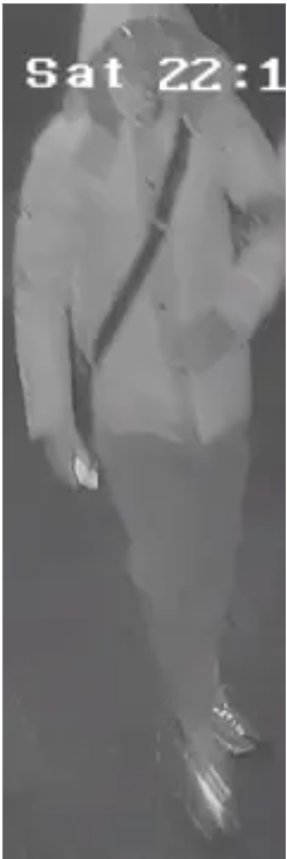 Carlisle CCTV man